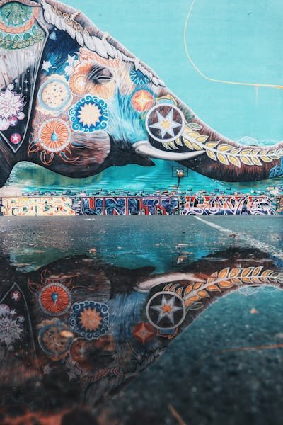 Collection limitée : le tableau éléphant d'alessio cacciatore